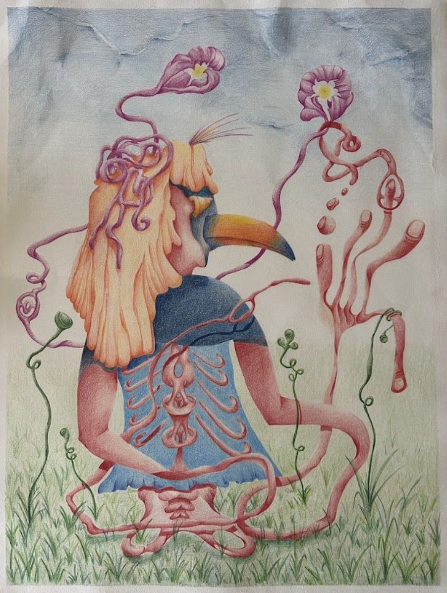 A. en el país de las maravillas, Color sobre papel